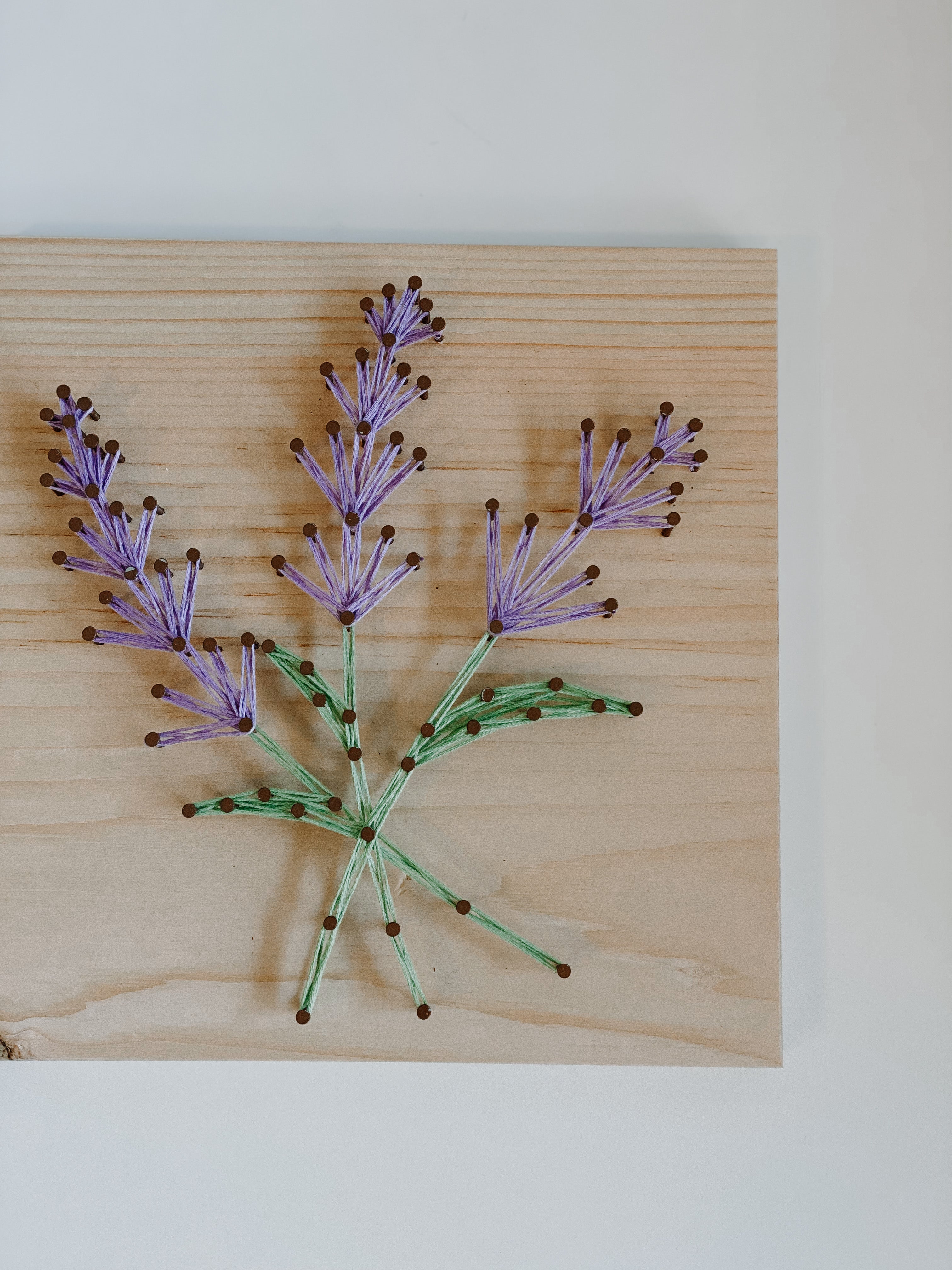Lavender String Art Kit (Large) image 2