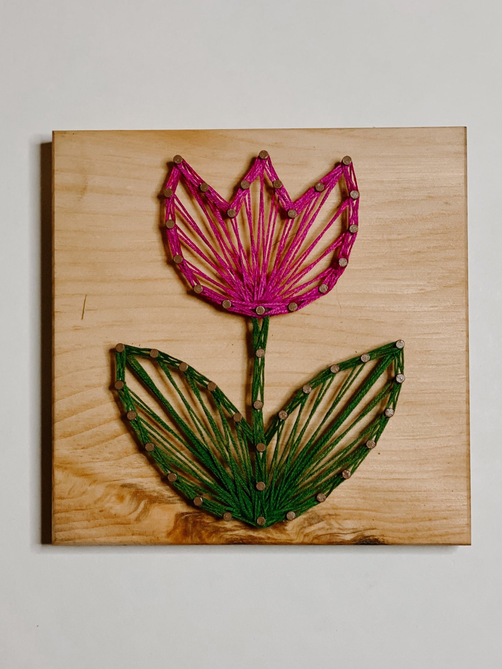Tulip String Art Kit (Small) image 0