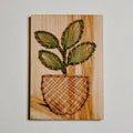 Rubber Plant String Art Kit (Medium) image 0
