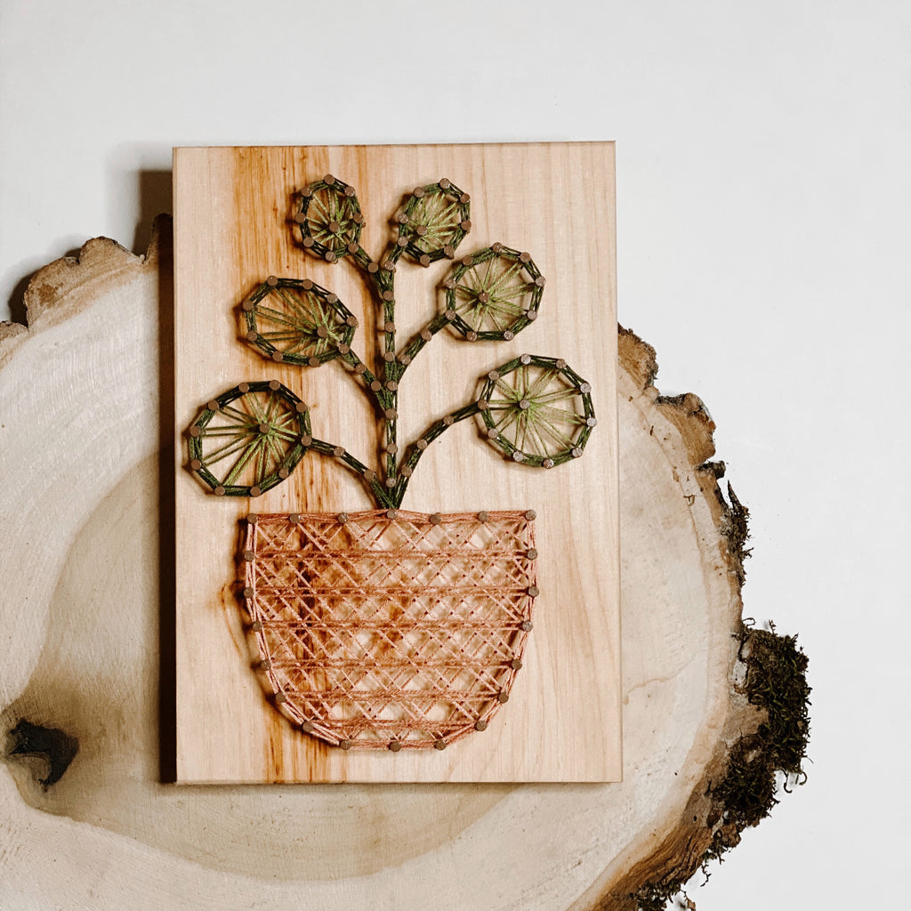 Pilea Plant String Art Kit (Medium) image 1