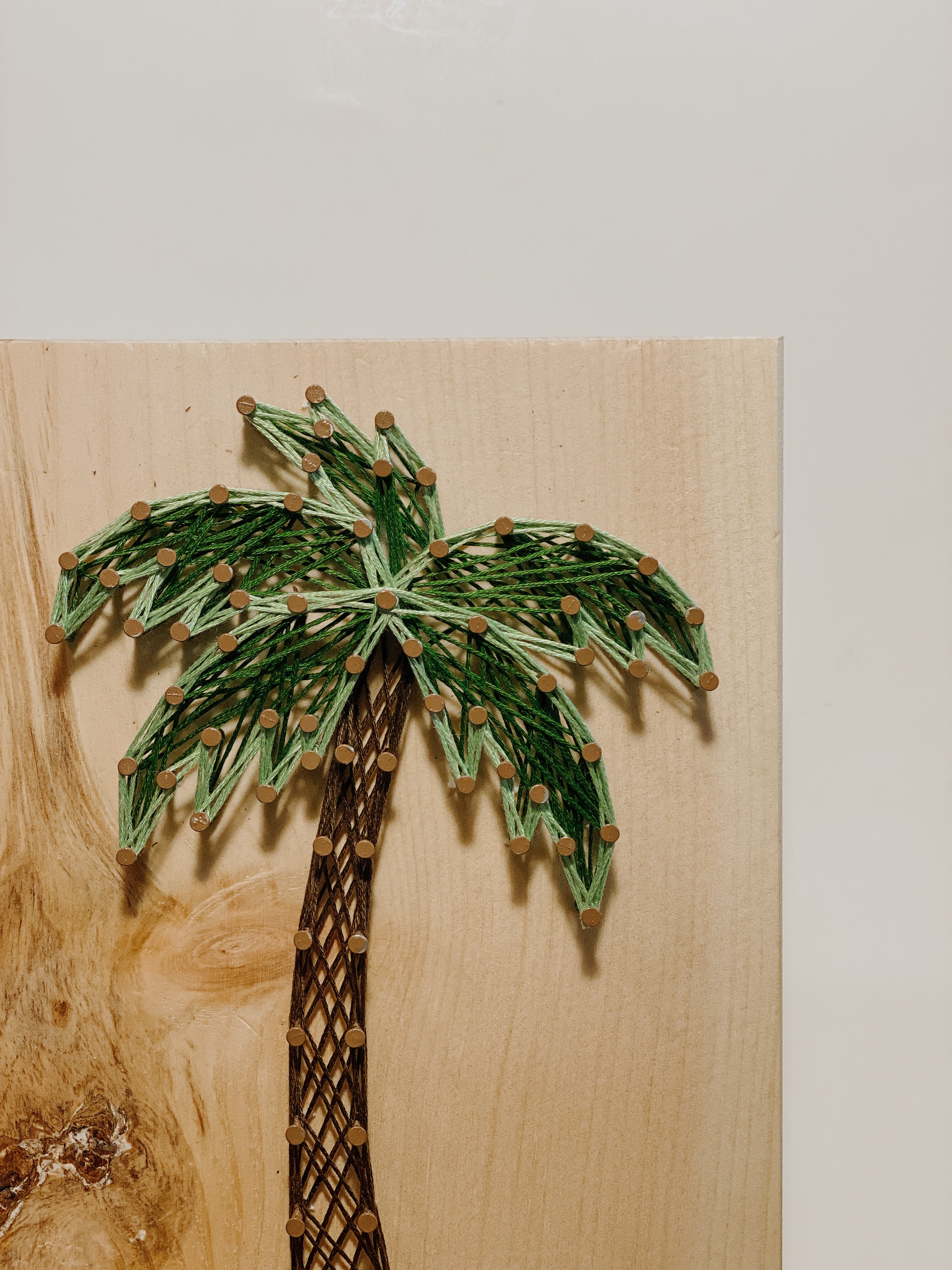 Palm Tree String Art Kit (Medium) image 1