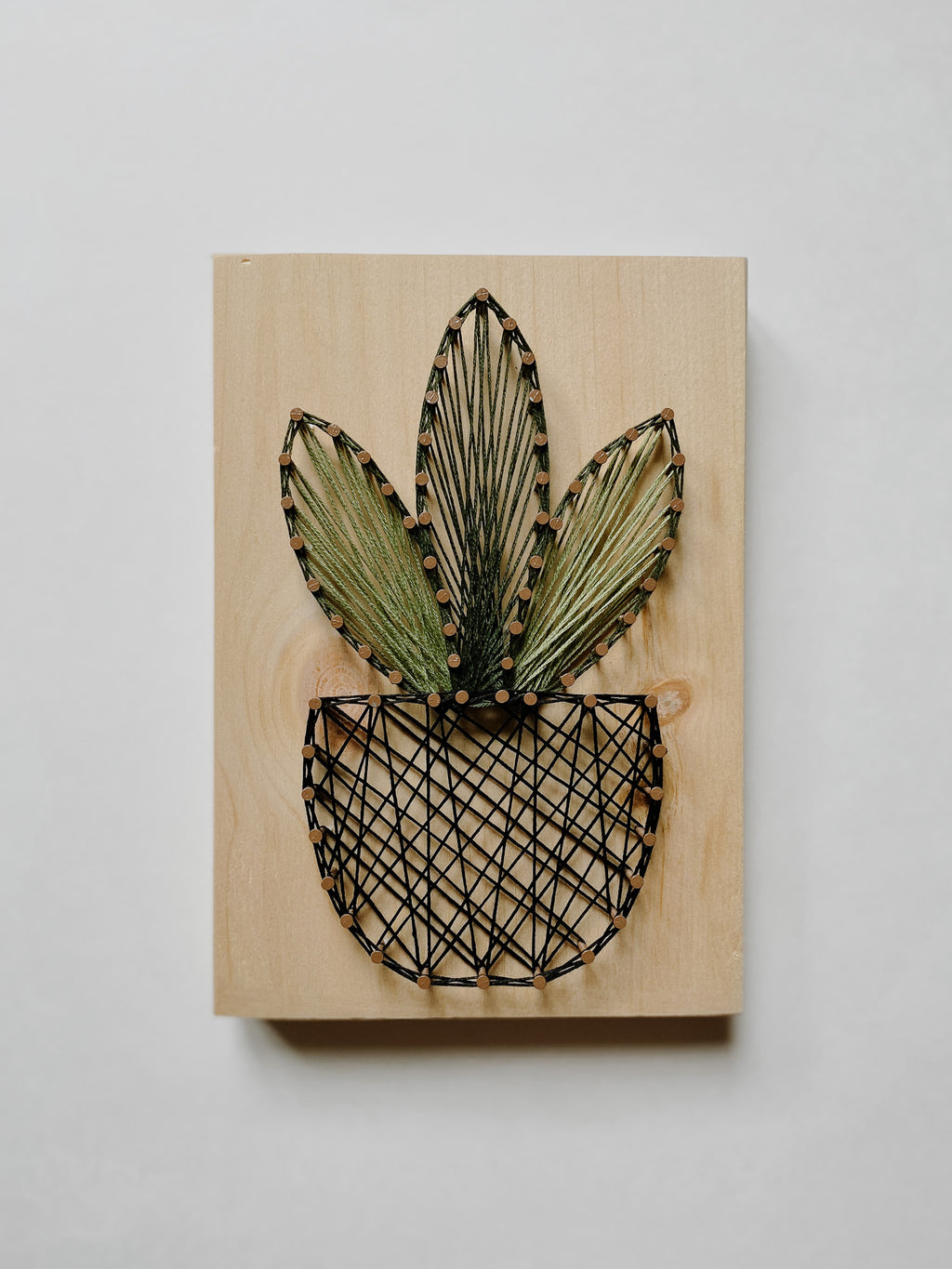 Snake Plant String Art Kit (Medium) image 0