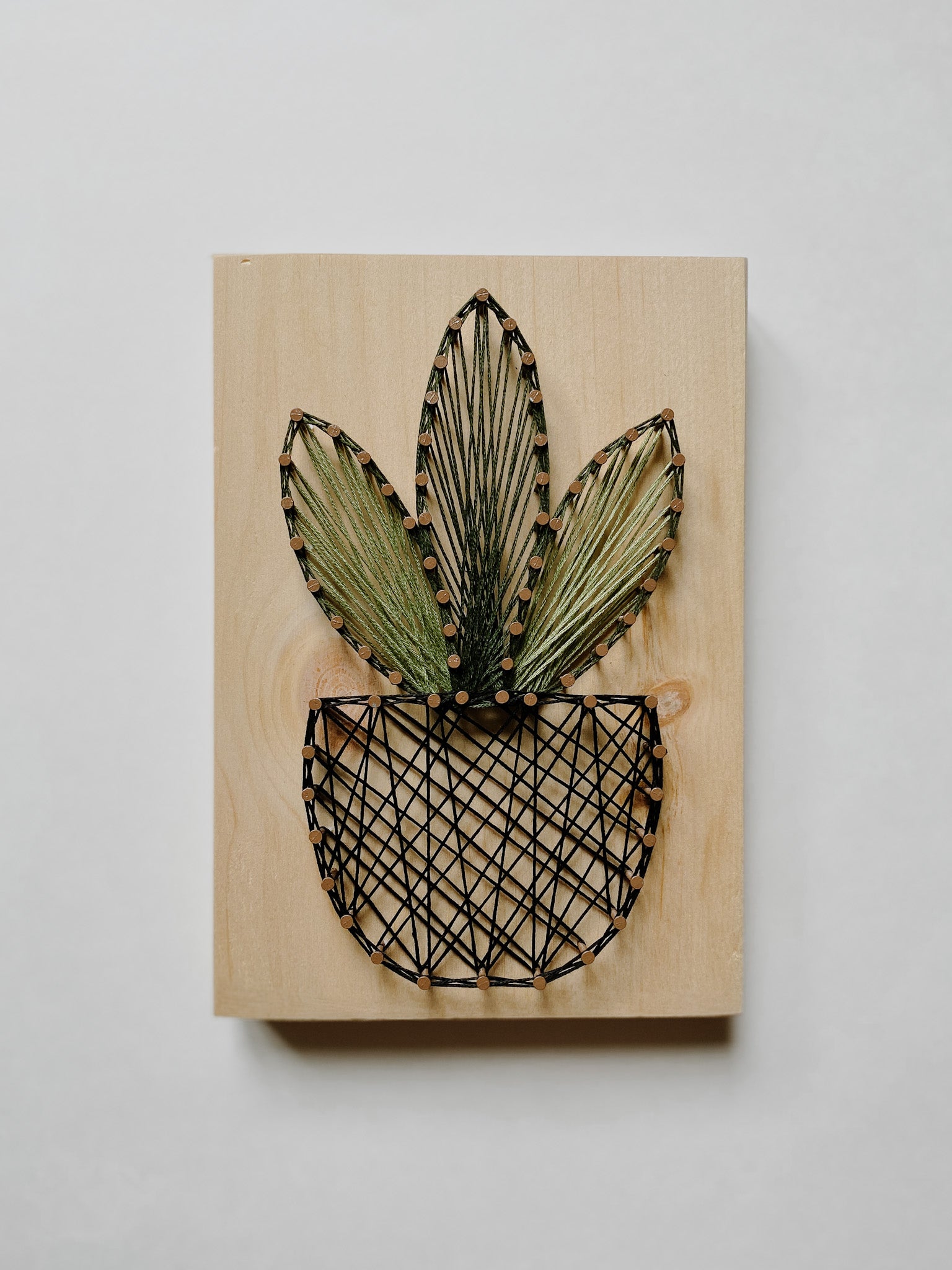 Snake Plant String Art Kit (Medium) image 0
