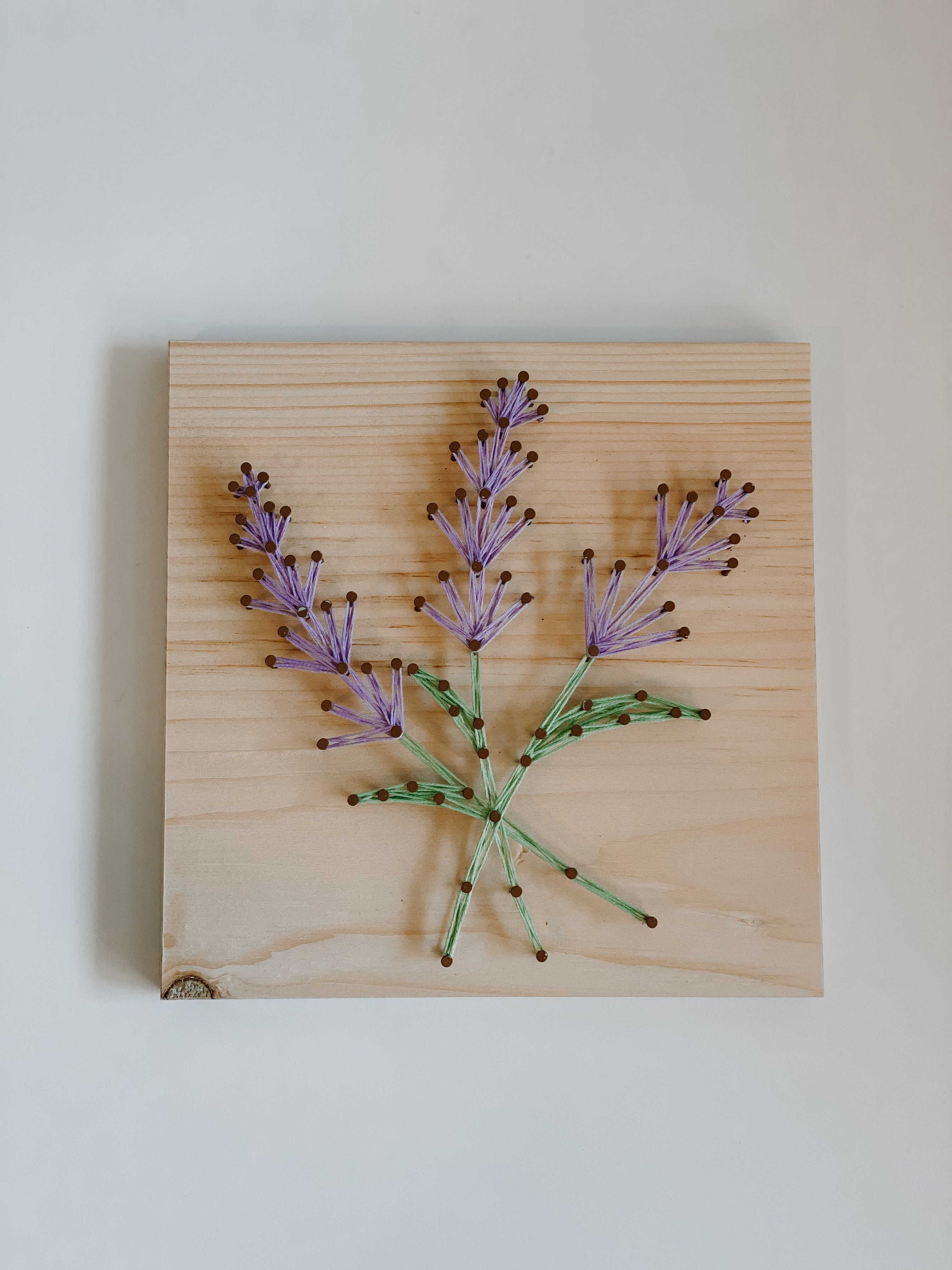 Lavender String Art Kit (Large) image 0