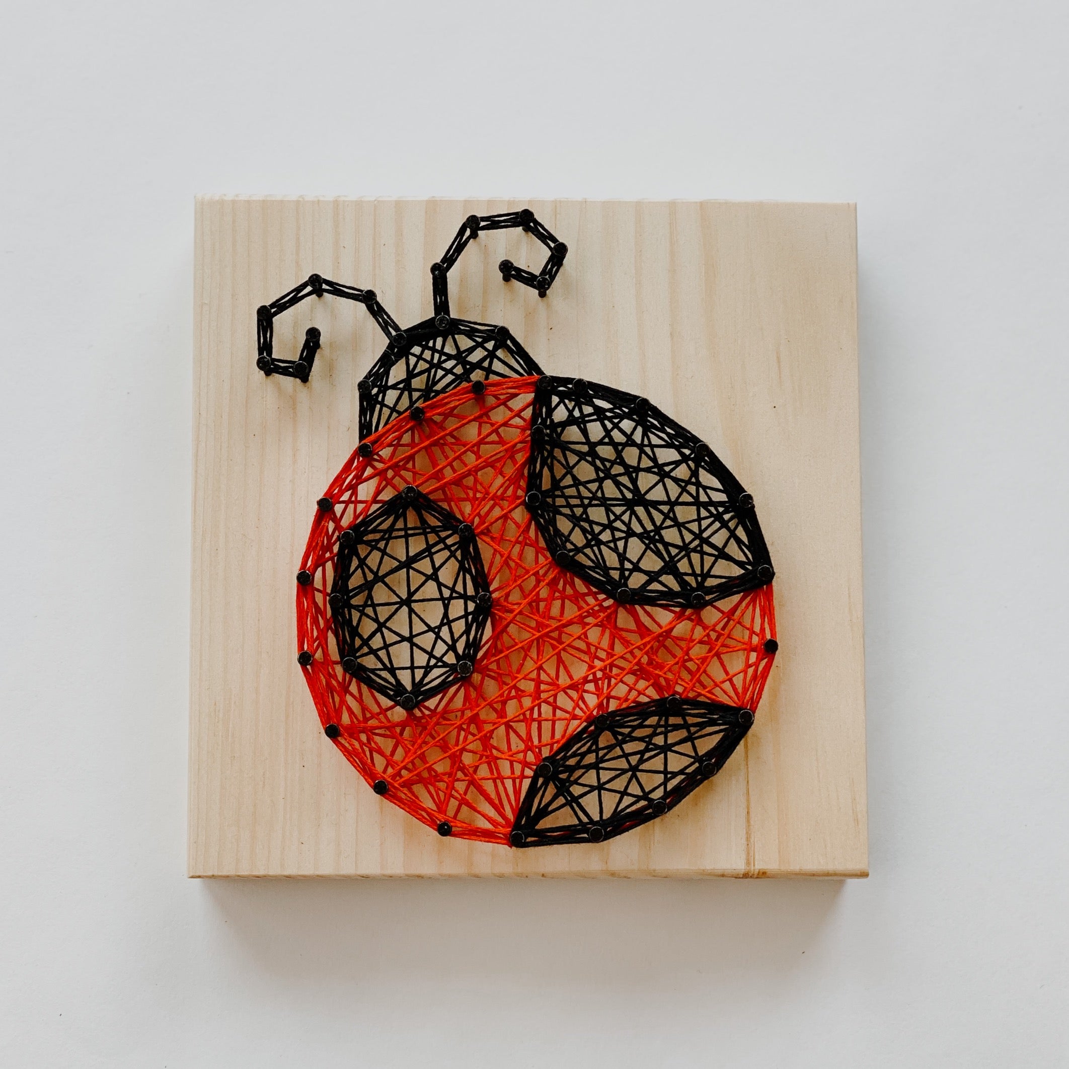 Ladybug String Art Kit (Small) image 0