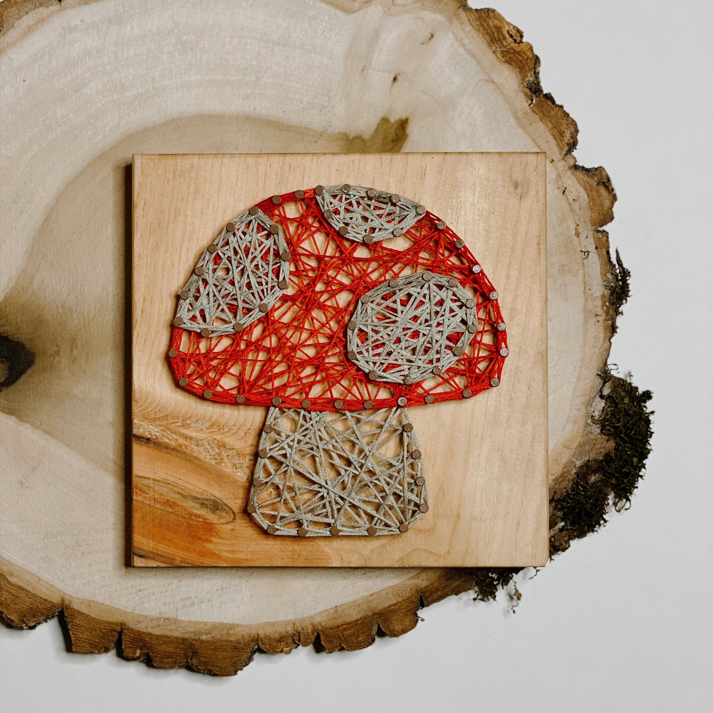 Mushroom String Art Kit (Small) image 2