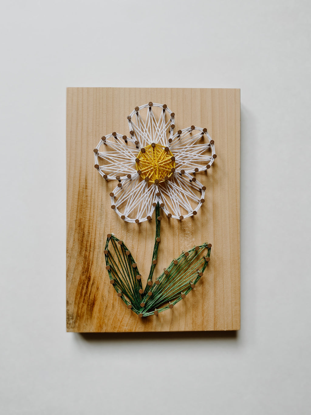 Daisy String Art Kit (Medium) image 0