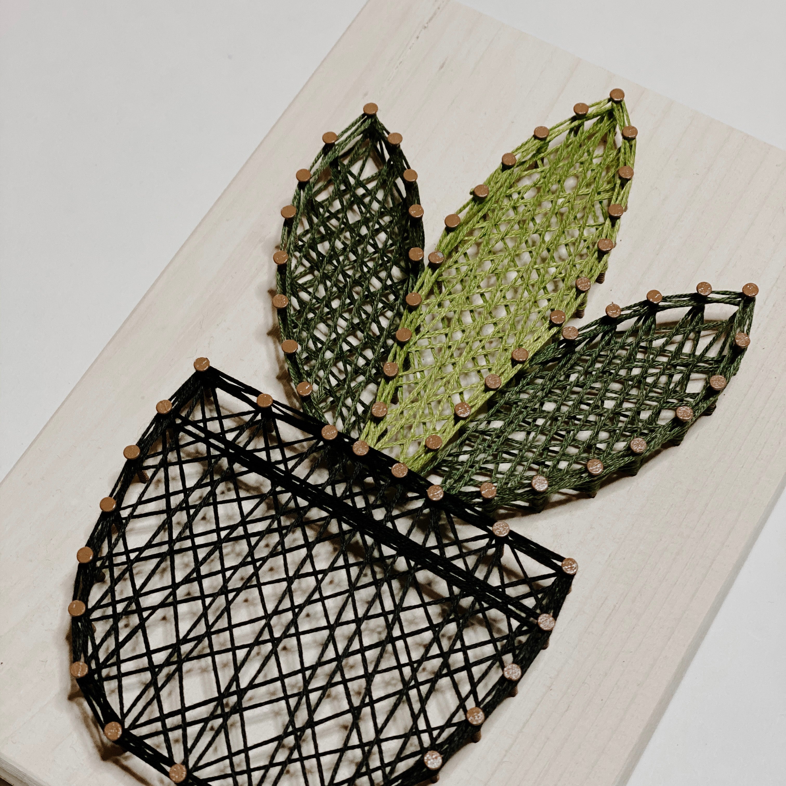Snake Plant String Art Kit (Medium) image 3