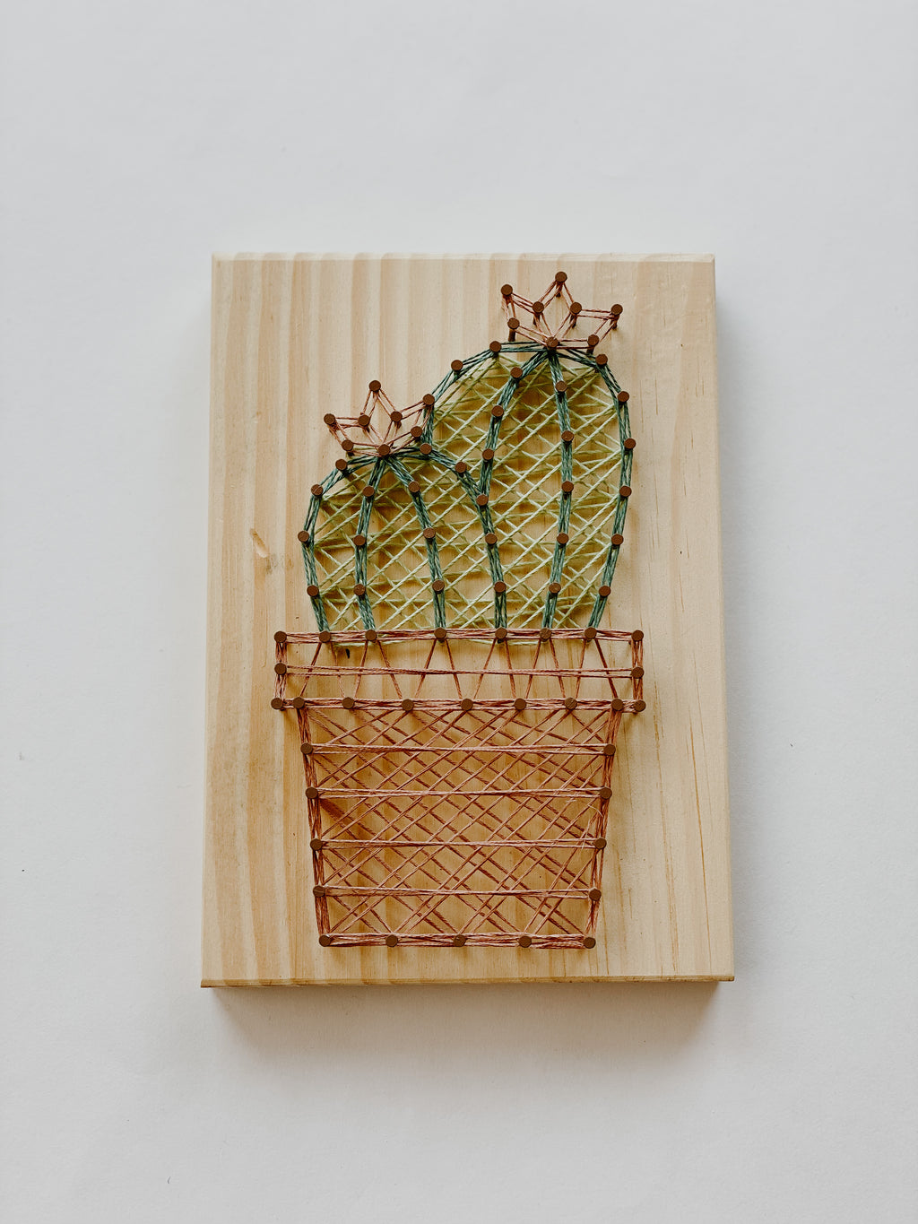 Flower Cactus String Art Kit (Medium) image 0