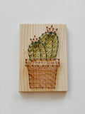 Flower Cactus String Art Kit (Medium) image 0