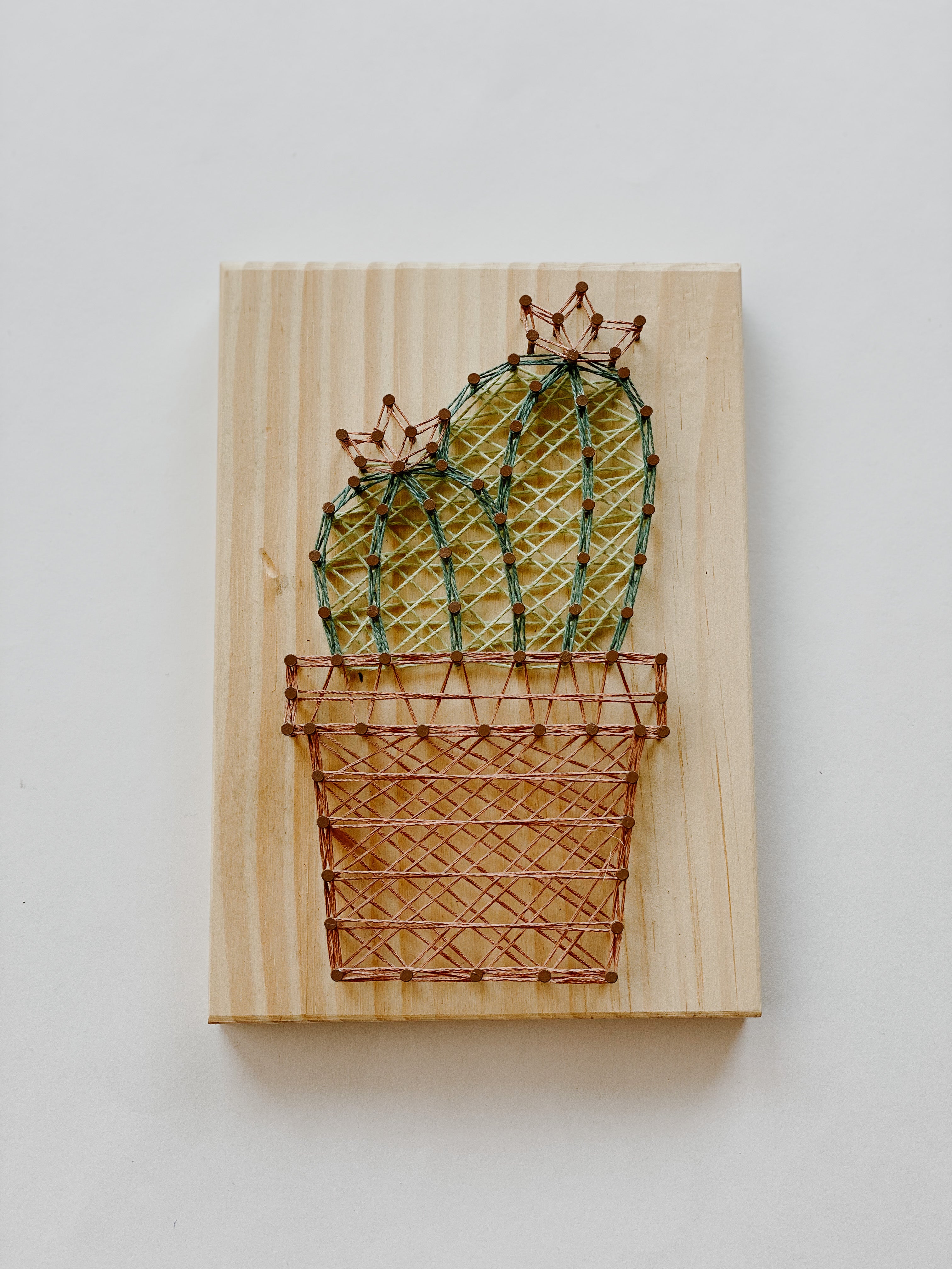 Flower Cactus String Art Kit (Medium) image 0
