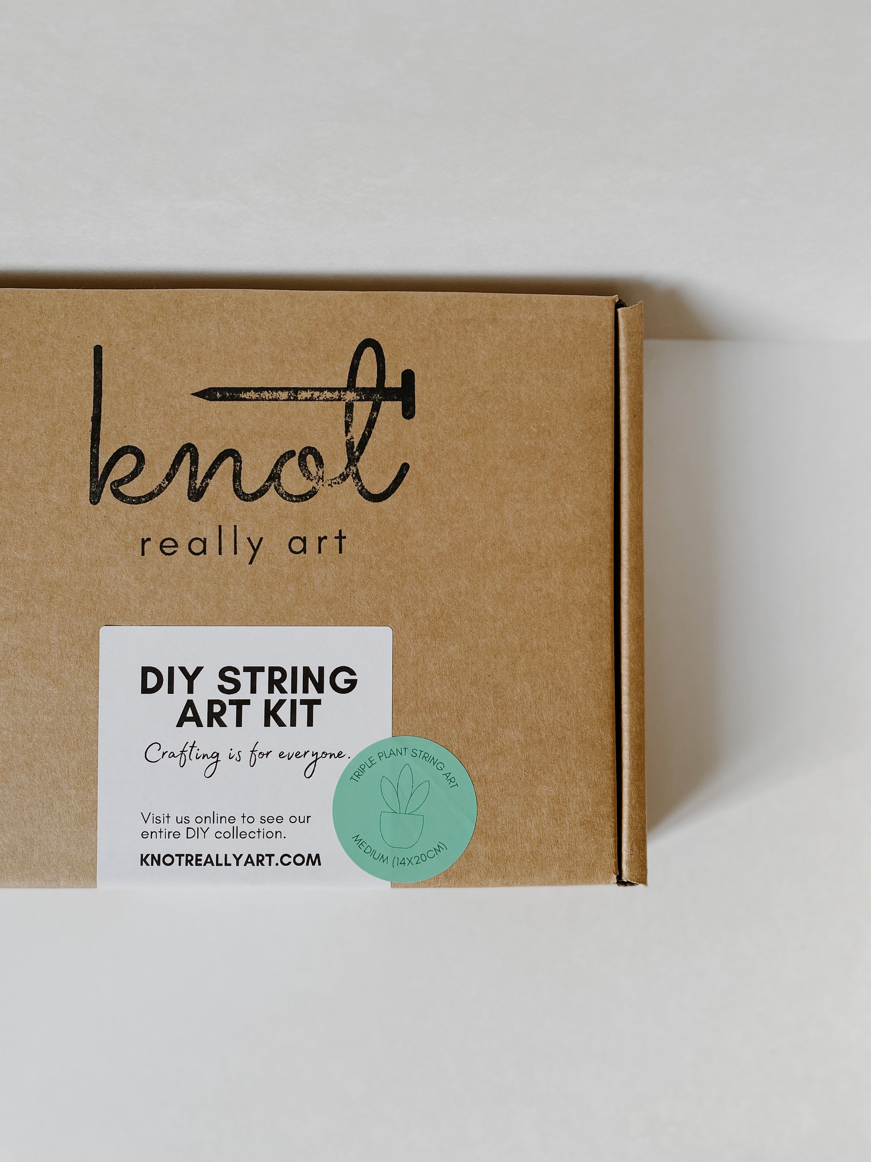 Snake Plant String Art Kit (Medium) image 5