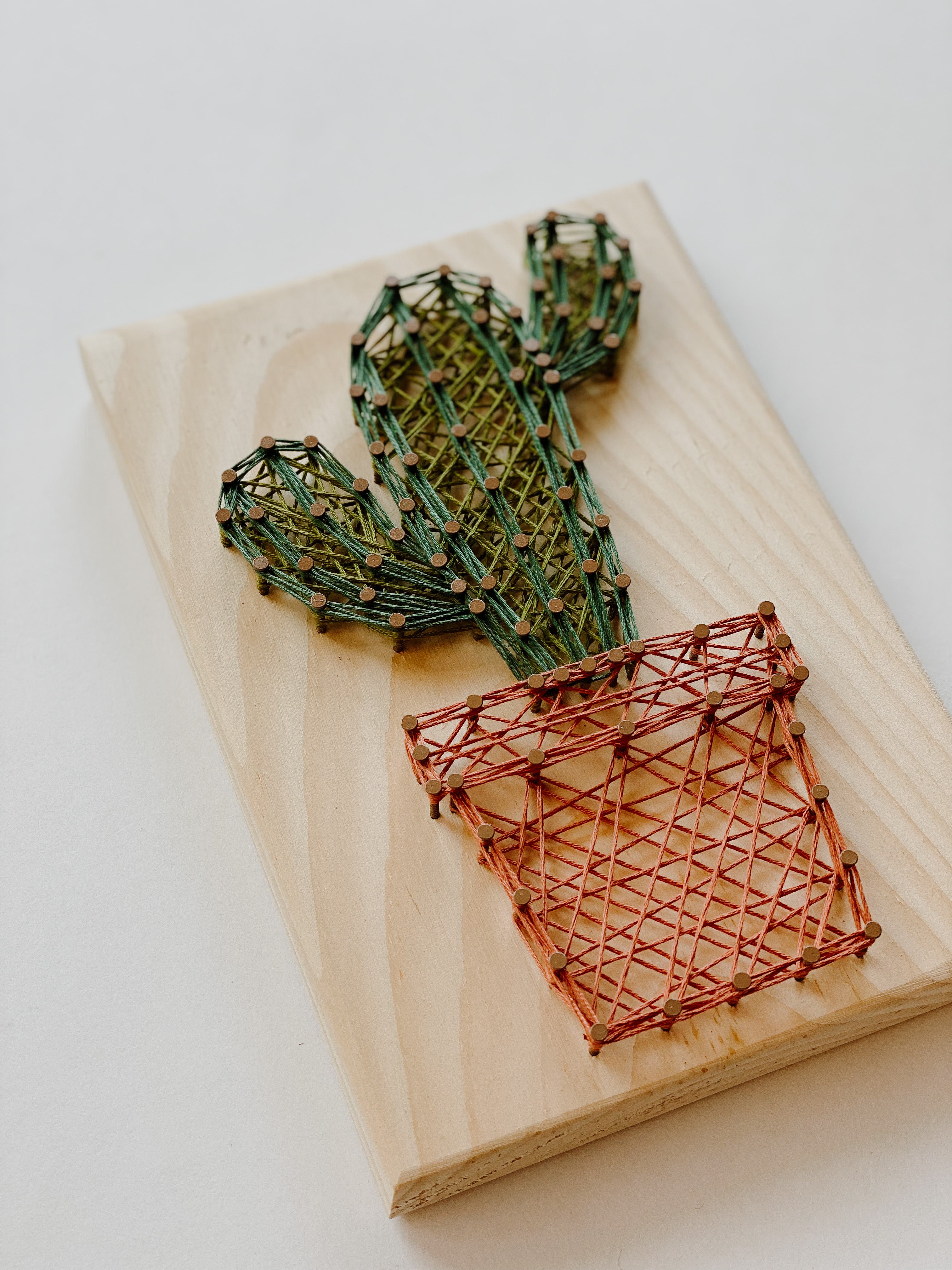 Cactus String Art Kit (Medium) image 1