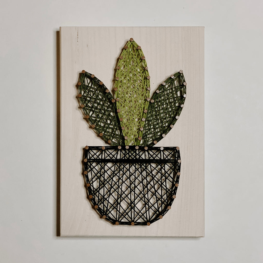Snake Plant String Art Kit (Medium) image 2