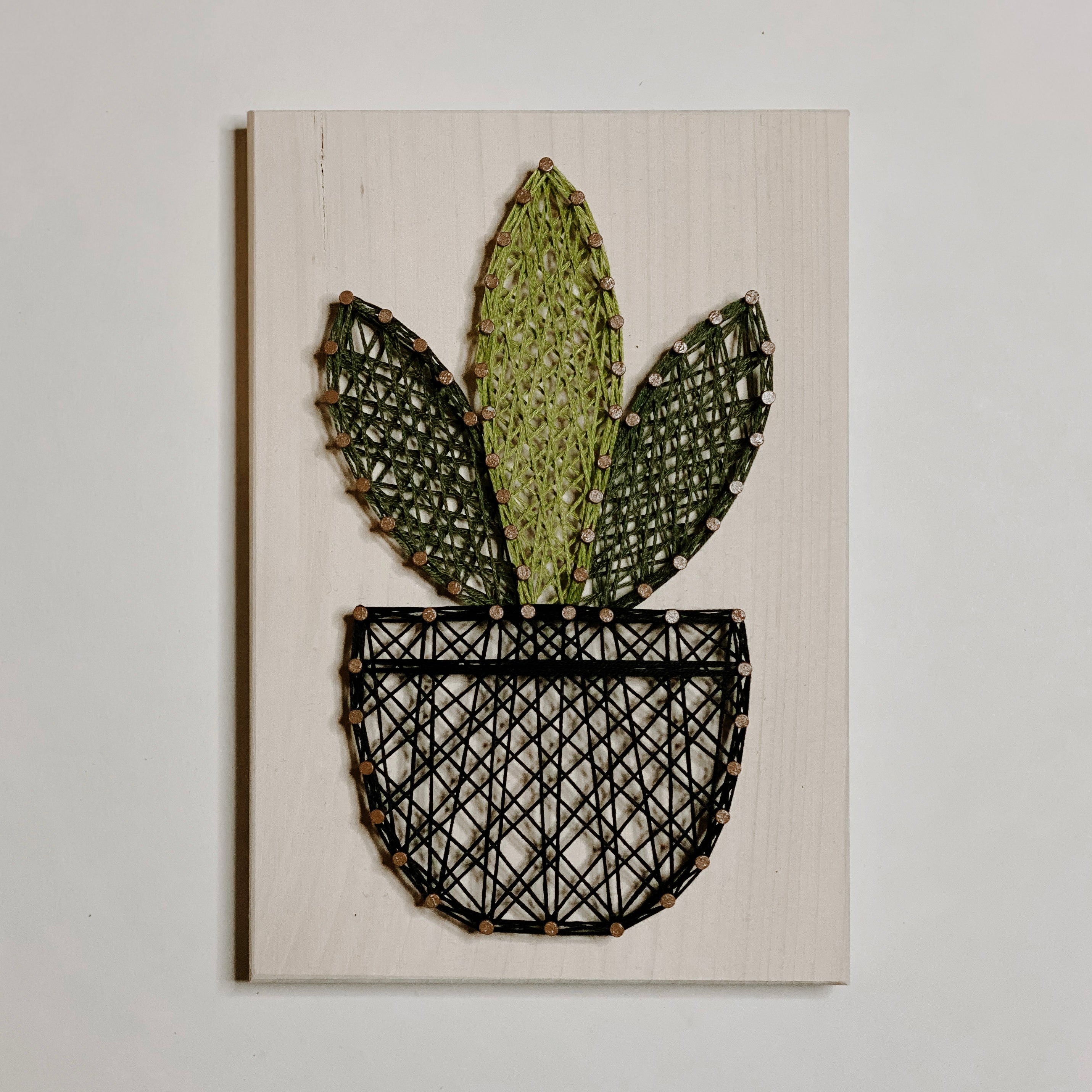 Snake Plant String Art Kit (Medium) image 2