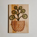 Pilea Plant String Art Kit (Medium) image 0
