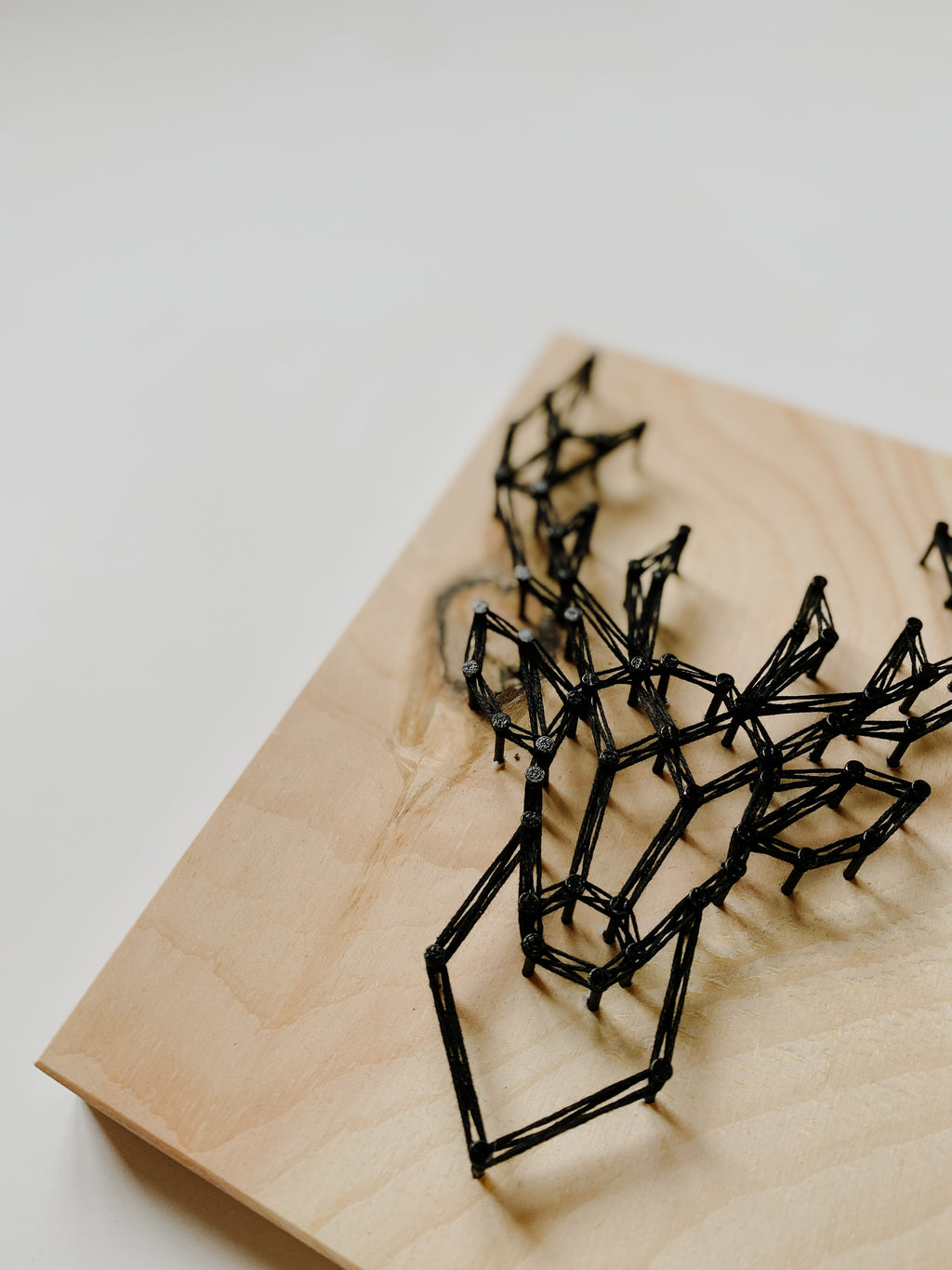 Deer String Art Kit (Medium) image 2