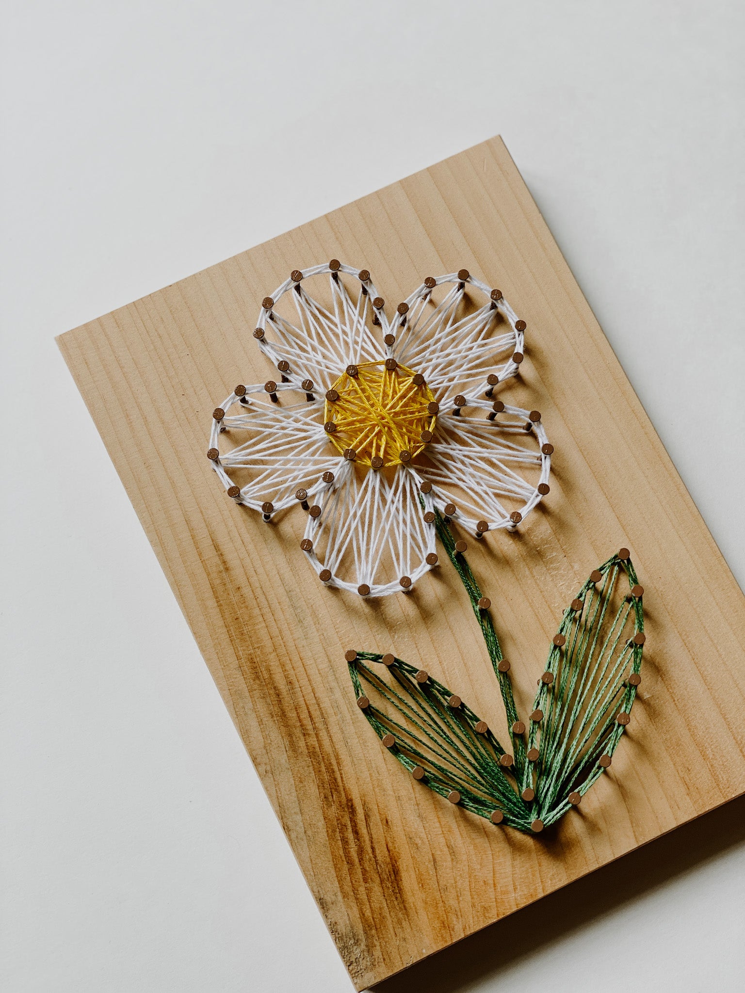 Daisy String Art Kit (Medium) image 6