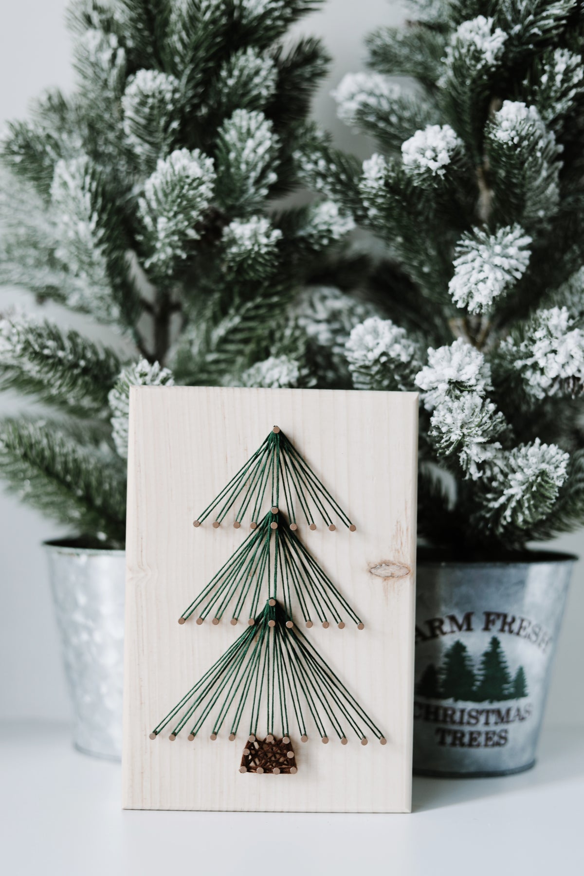 Modern Tree String Art Kit (Medium) image 2