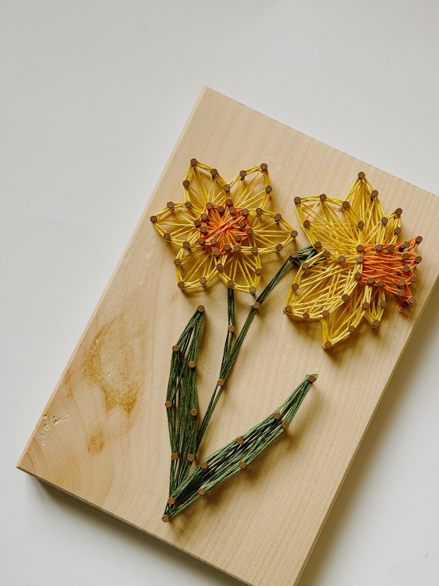 Daffodil String Art Kit (Medium)