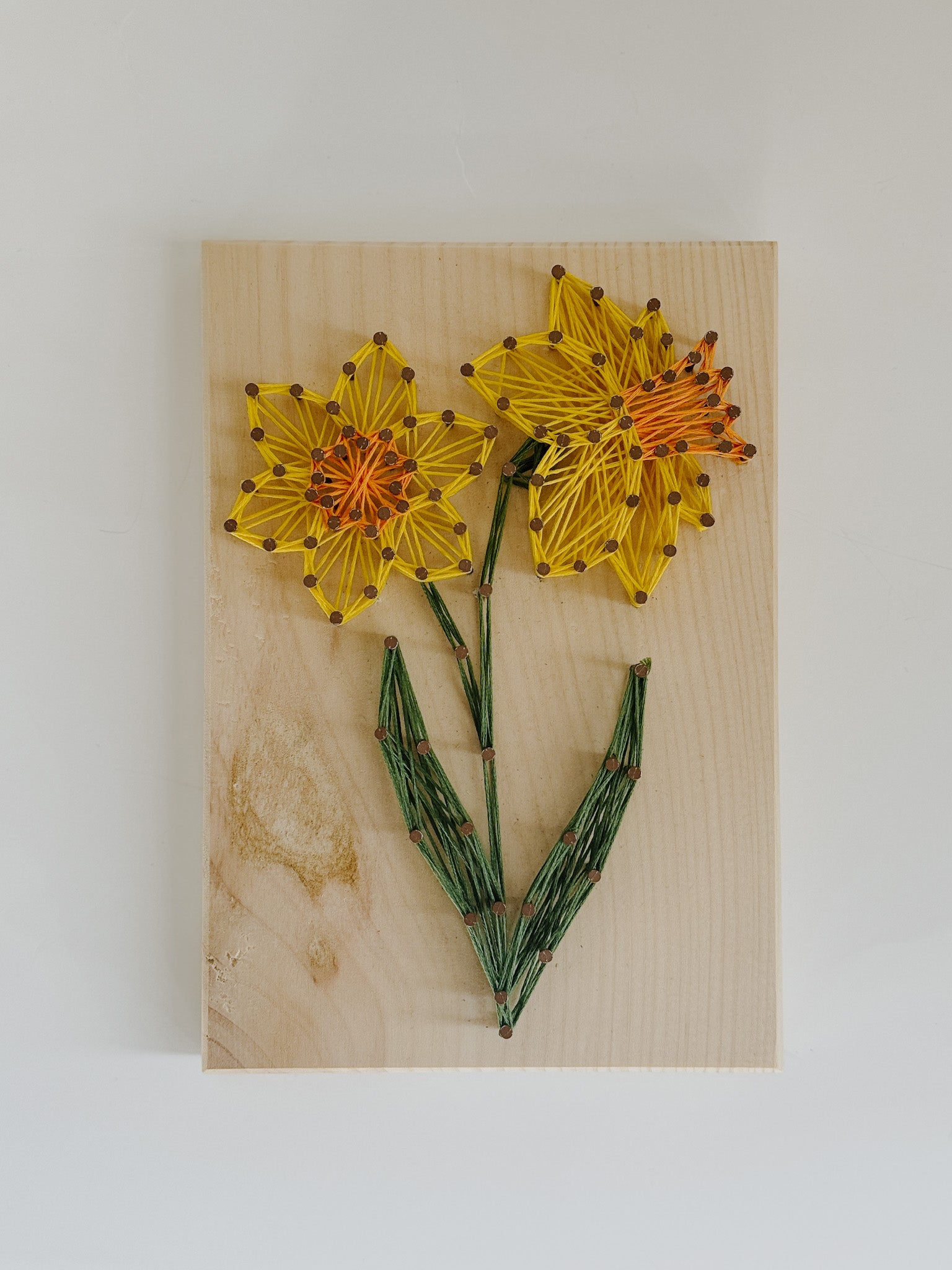 Daffodil String Art Kit (Medium)
