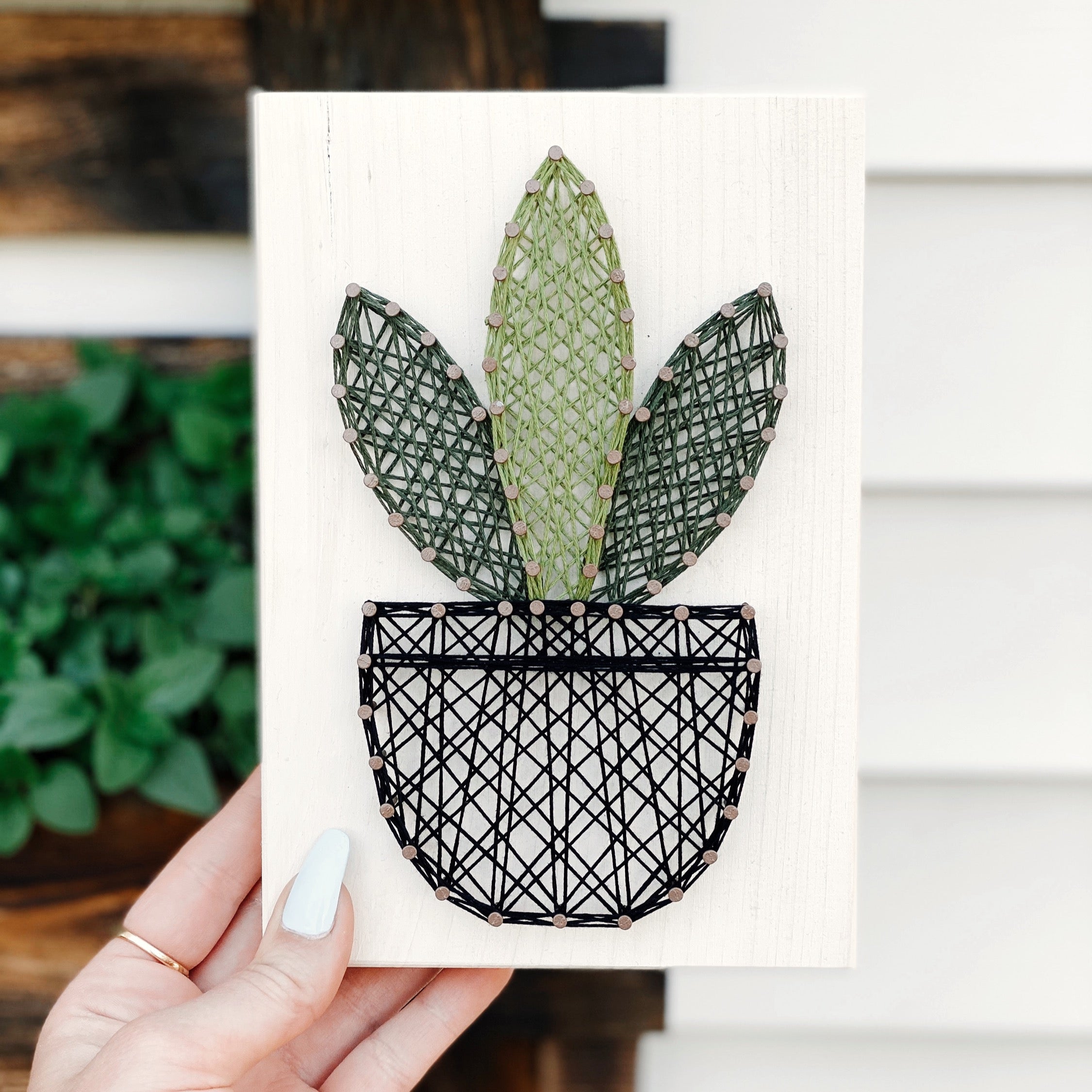 Snake Plant String Art Kit (Medium) image 6
