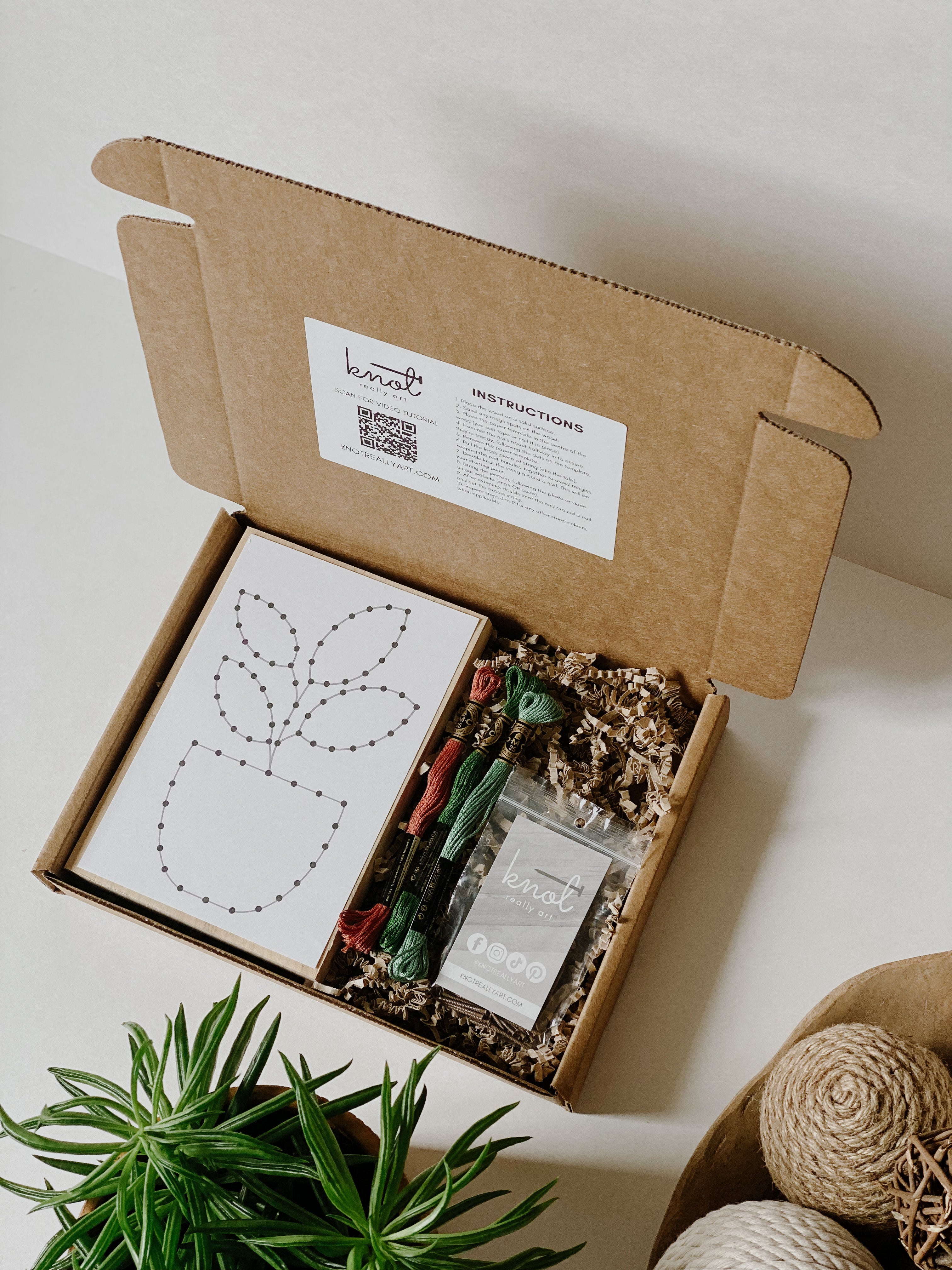 Rubber Plant String Art Kit (Medium) image 2