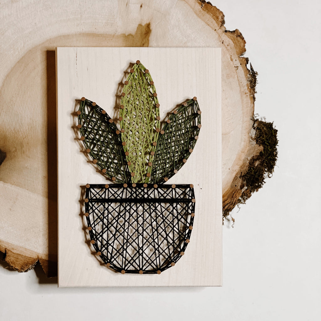 Snake Plant String Art Kit (Medium) image 4