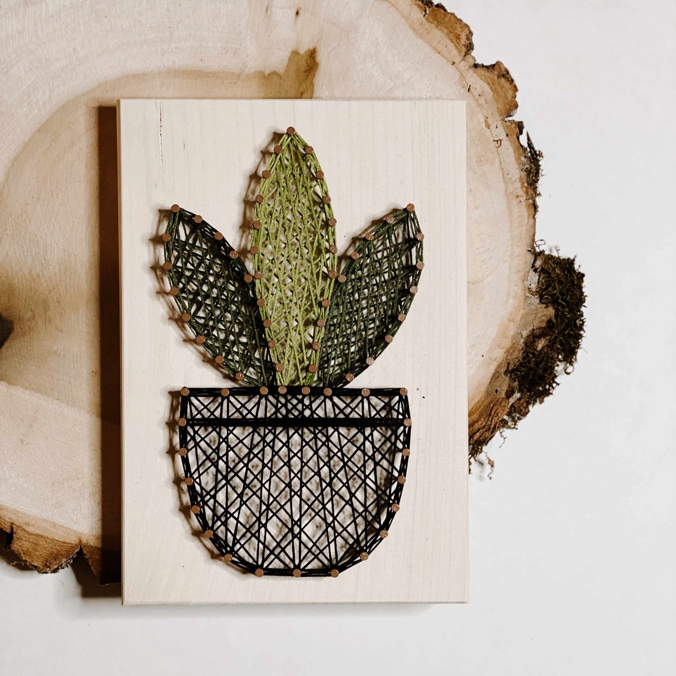 Snake Plant String Art Kit (Medium) image 4