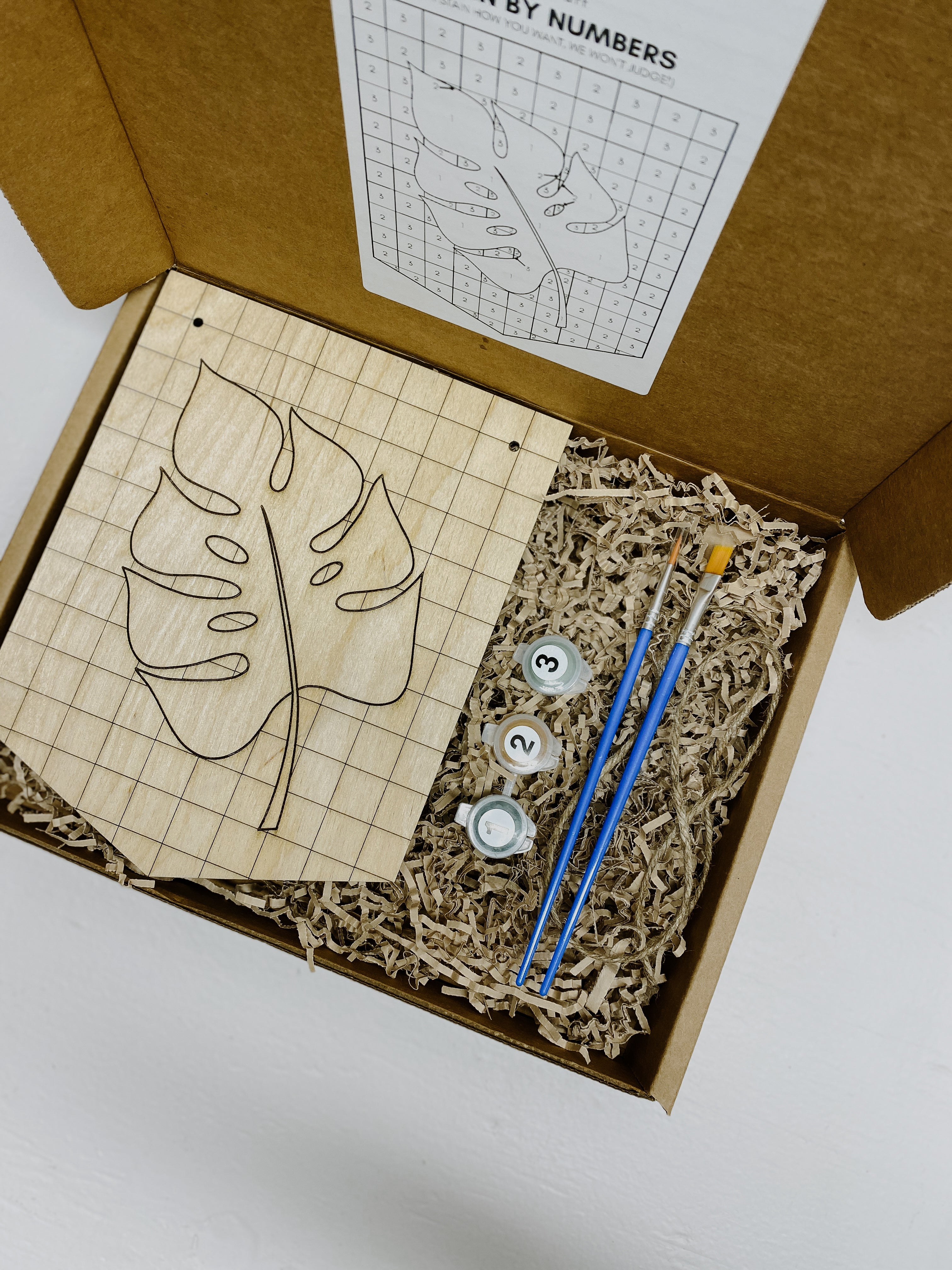 Checkered Monstera Stain by Numbers image 2