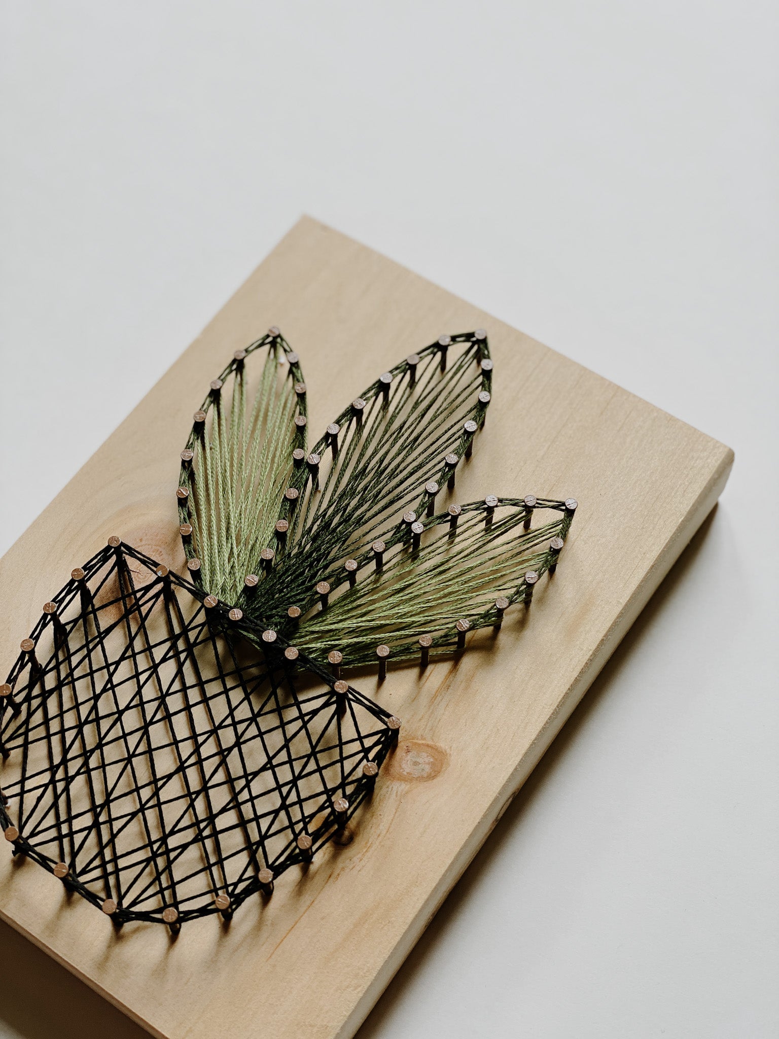 Snake Plant String Art Kit (Medium) image 1