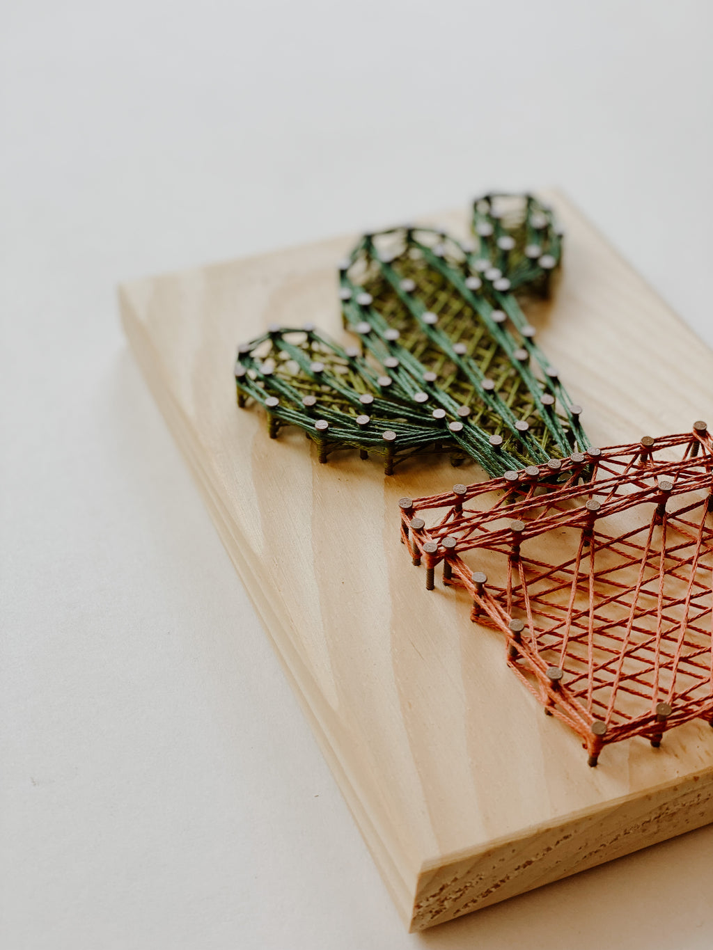 Cactus String Art Kit (Medium) image 2