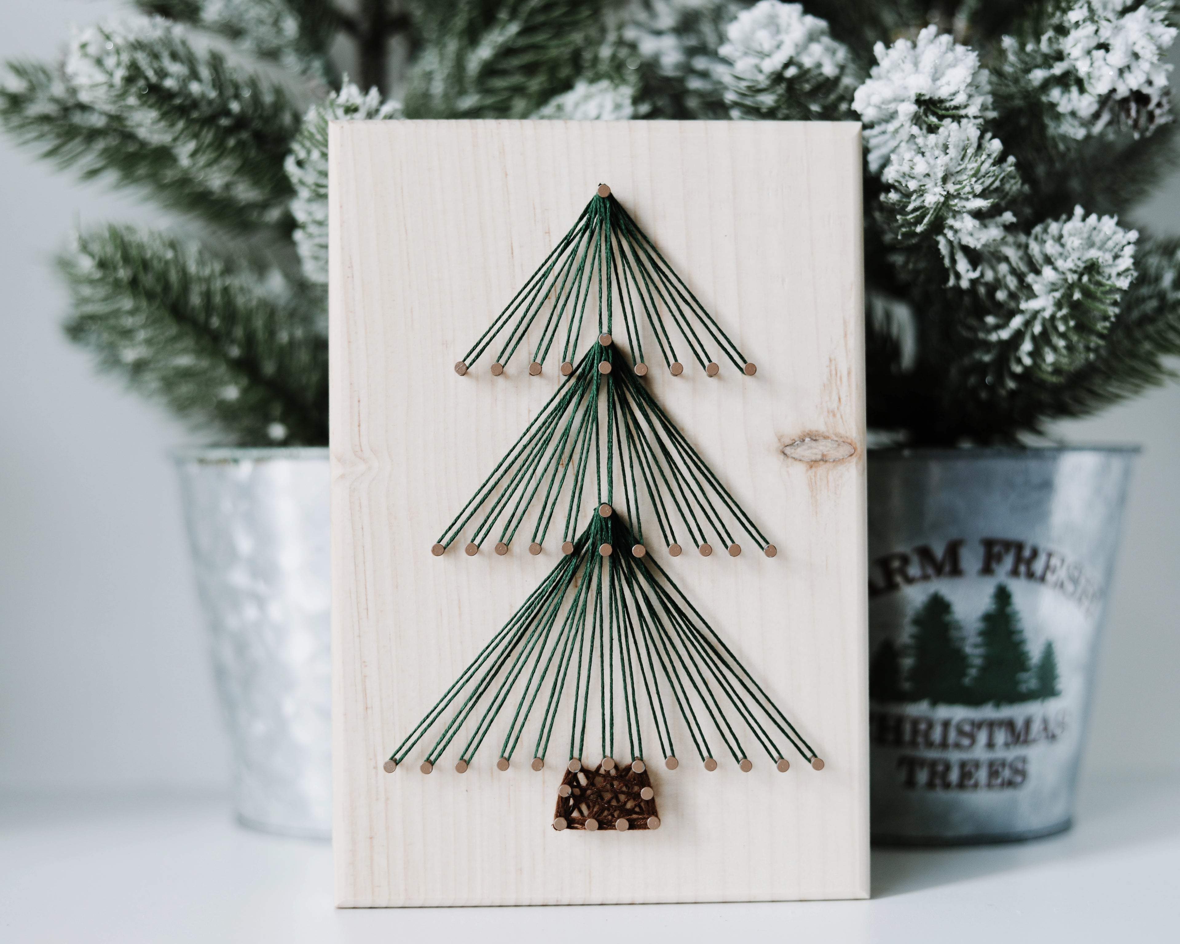 Modern Tree String Art Kit (Medium) image 0