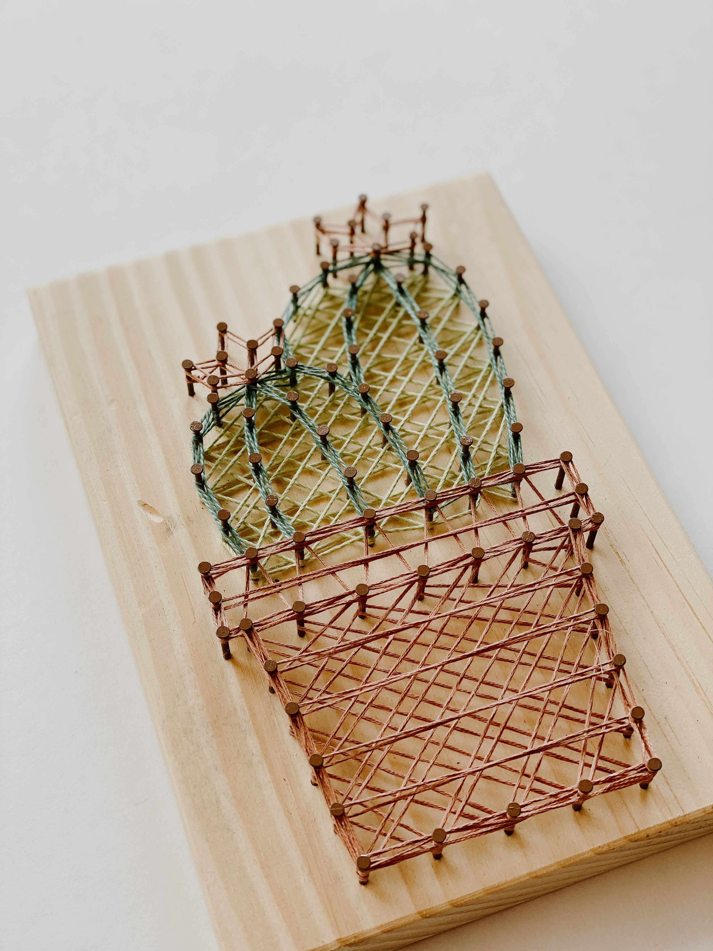 Flower Cactus String Art Kit (Medium) image 2