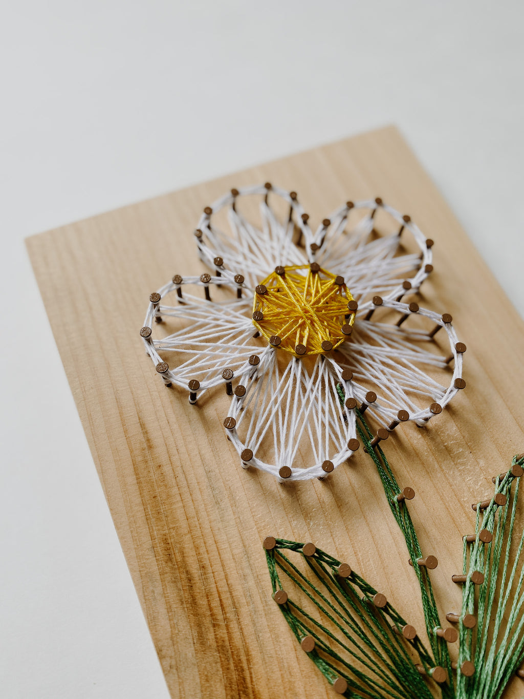 Daisy String Art Kit (Medium) image 3