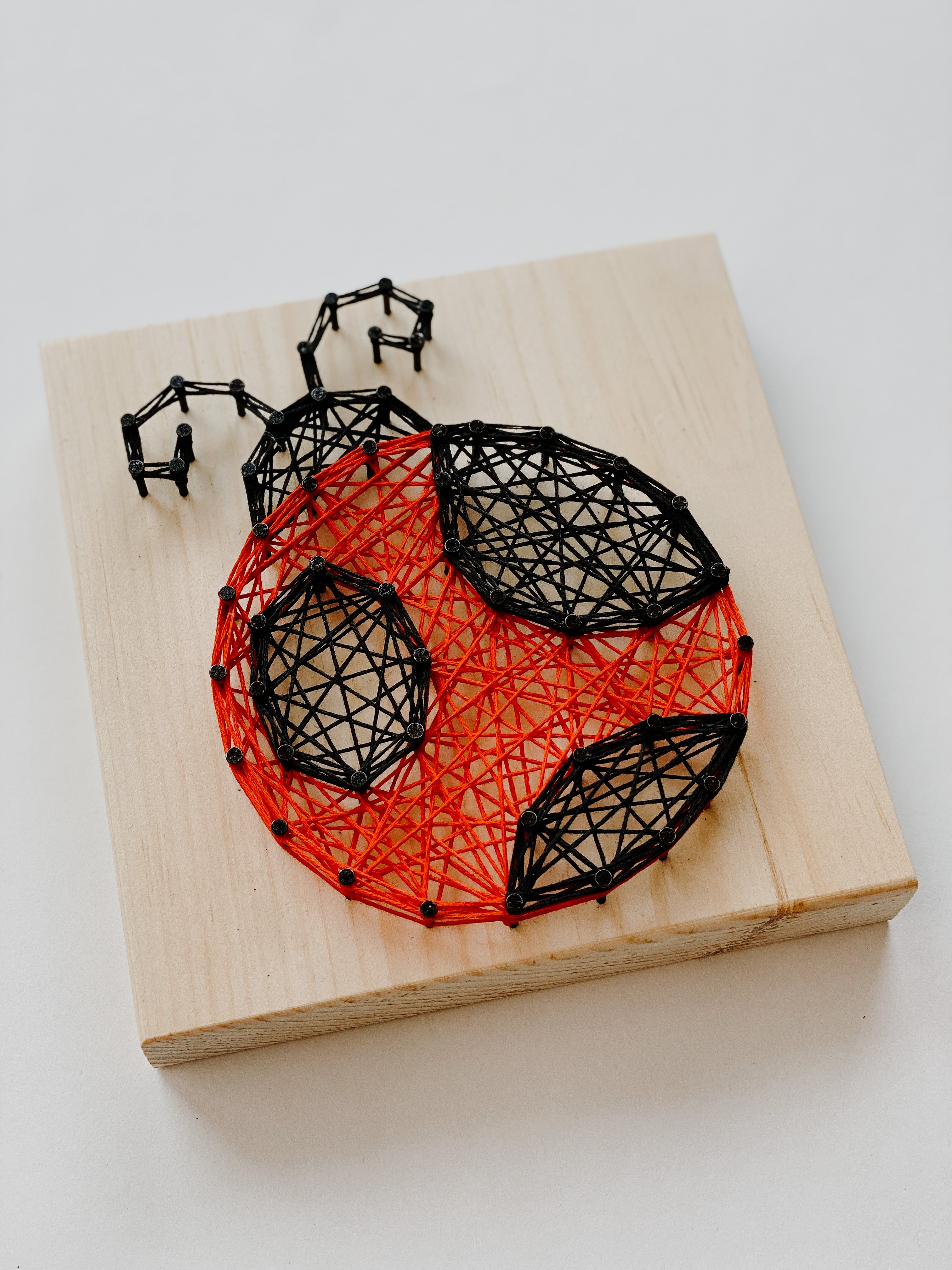 Ladybug String Art Kit (Small) image 1
