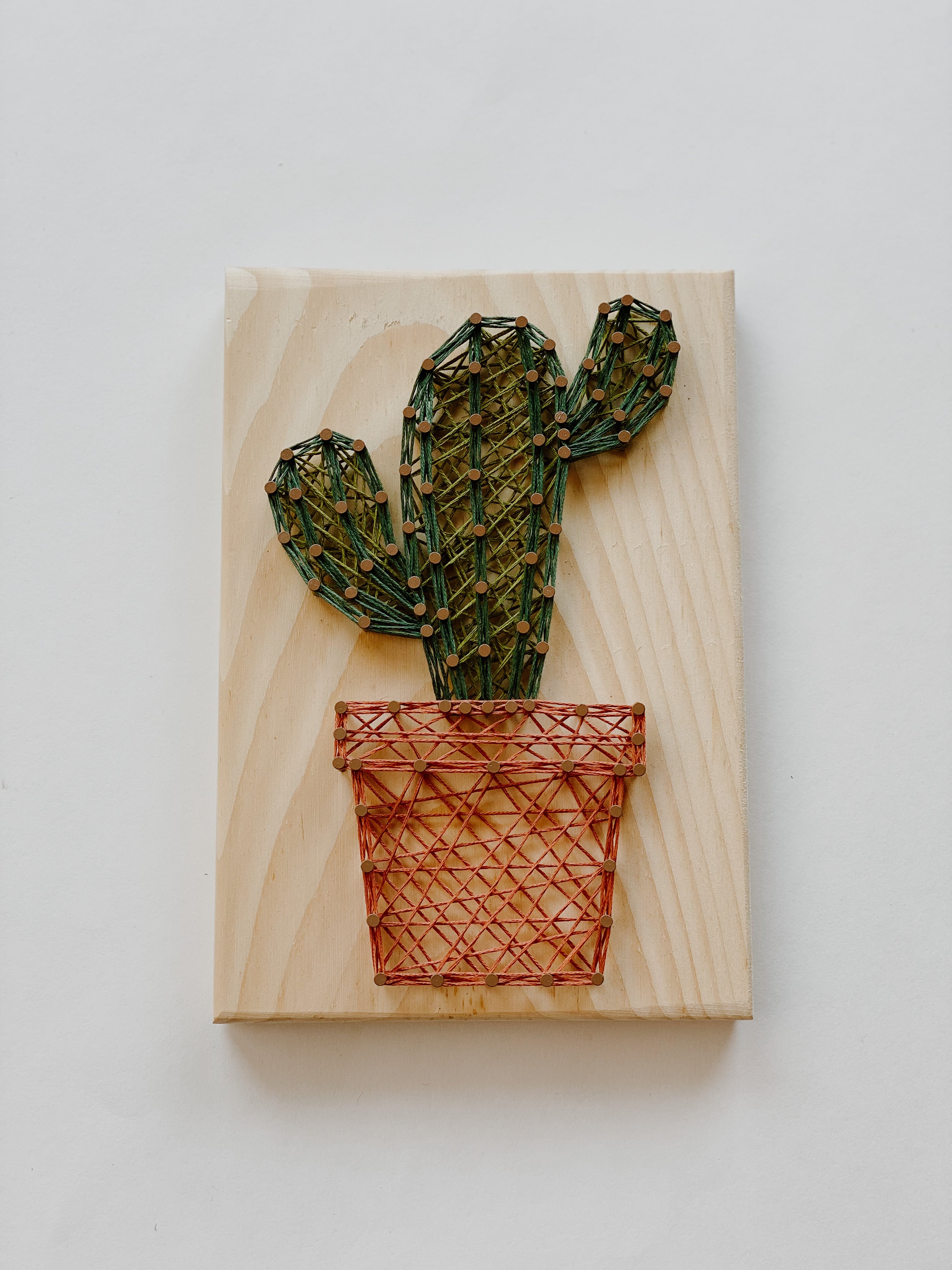 Cactus String Art Kit (Medium) image 0