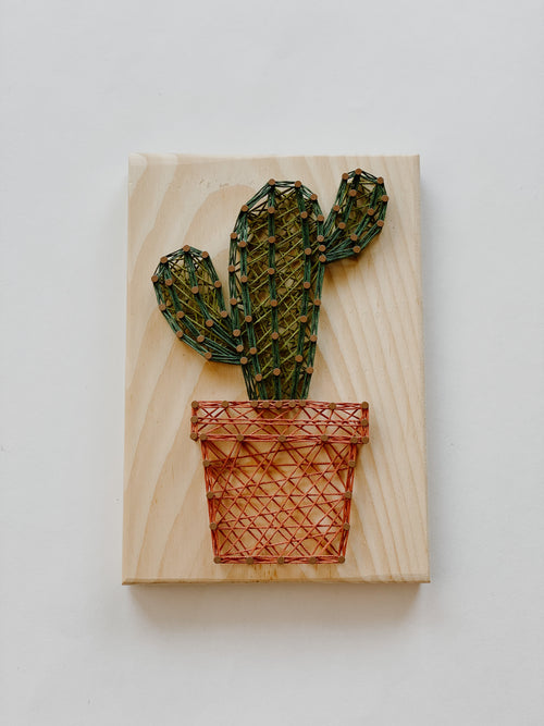 Cactus String Art Kit (Medium) image 0