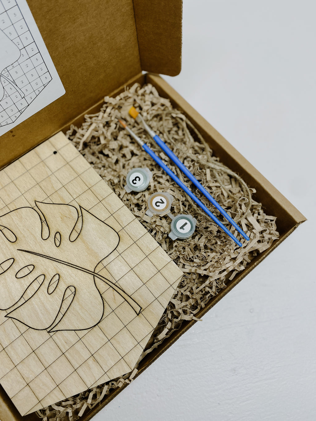 Checkered Monstera Stain by Numbers image 1